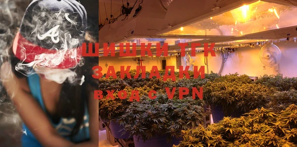 молекула духа Михайлов